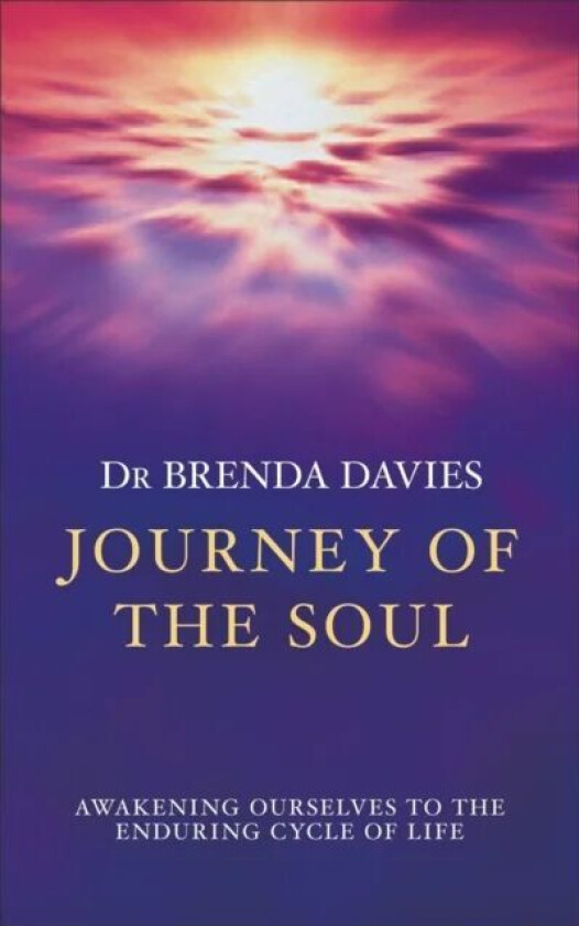 Journey of The Soul av Brenda Davies