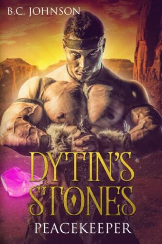 Dytin's Stones av B C Johnson (Paperback)