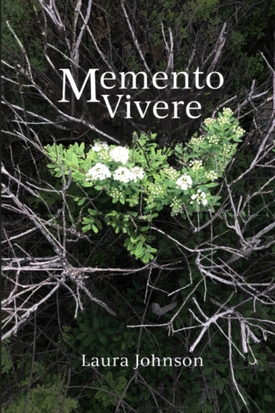 Memento Vivere av Laura Johnson (Paperback)