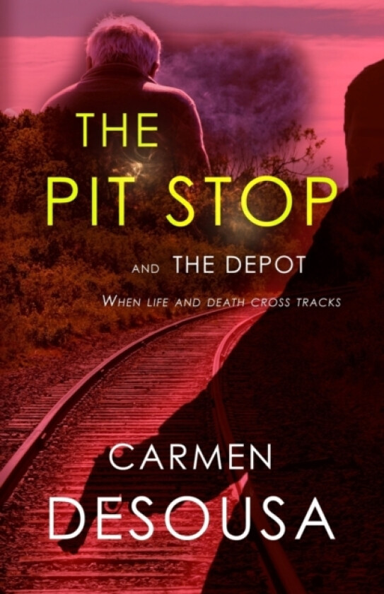 The Pit Stop av Carmen Desousa (Paperback)