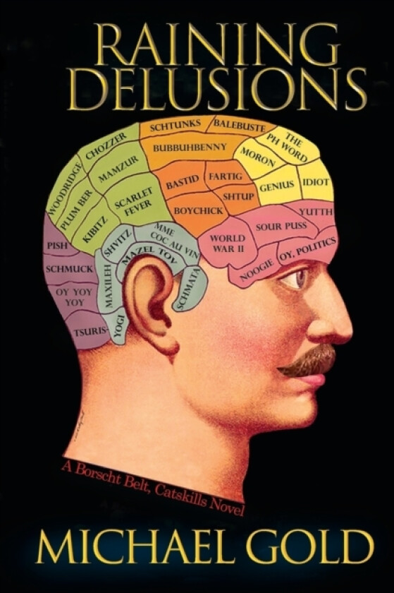 Raining Delusions av Michael Gold (Paperback)