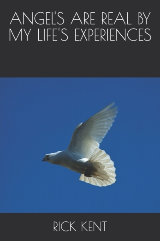 Angel's Are Real by My Life's Experiences av Rick Kent (Paperback)