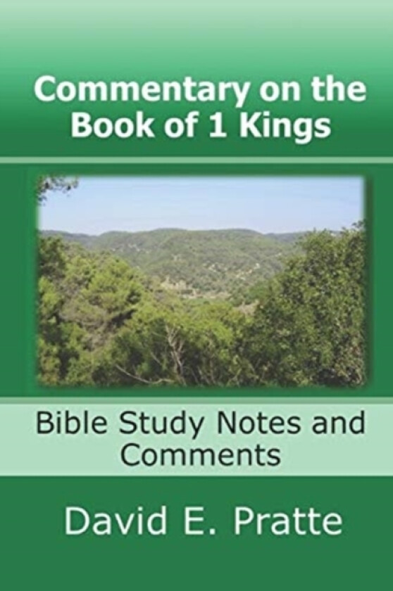Commentary on the Book of 1 Kings av David E Pratte (Paperback)