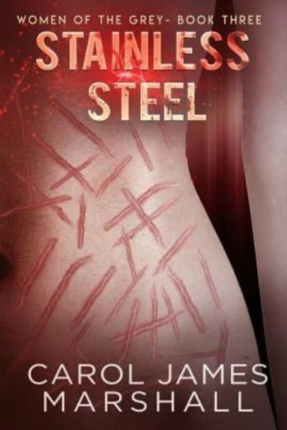 Stainless Steel av Carol James Marshall (Paperback)