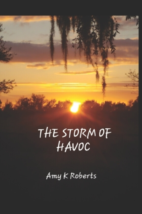 The Storm Of Havoc av Amy Roberts (Paperback)