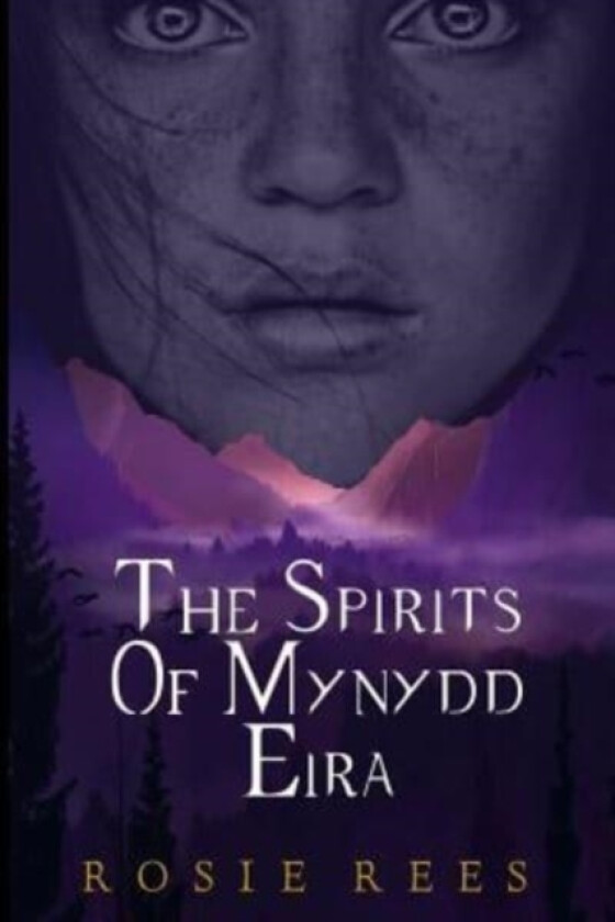 The Spirits of Mynydd Eira av Rosie Rees (Paperback)