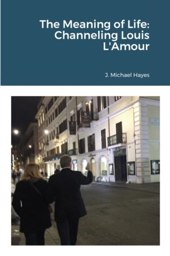 The Meaning of Life av J Michael Hayes (Paperback)