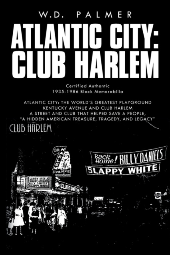 Atlantic City av W D Palmer (Paperback)