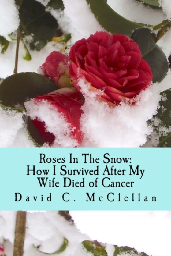Roses In The Snow av David C McClellan (Paperback)