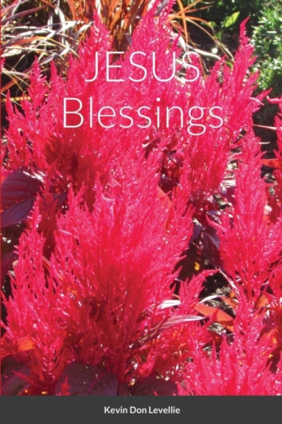 JESUS Blessings av Kevin Levellie (Paperback)