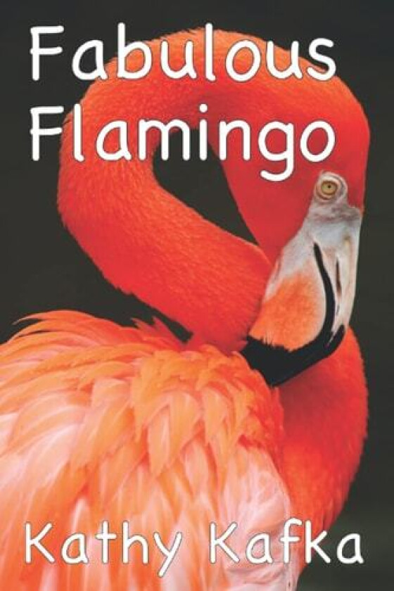 Fabulous Flamingo av Kathy Kafka (Paperback)