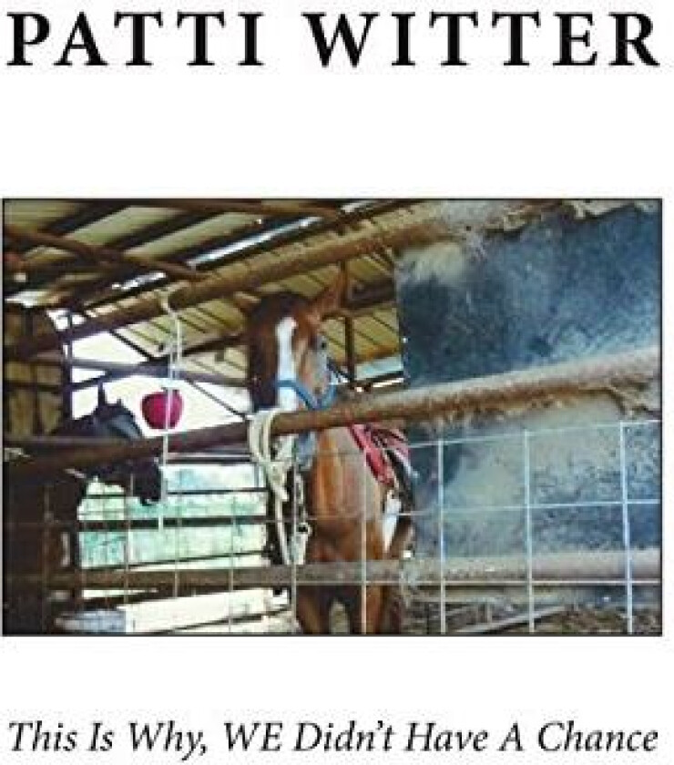 This Is Why, WE Didn't Have A Chance av Patti Witter (Paperback)