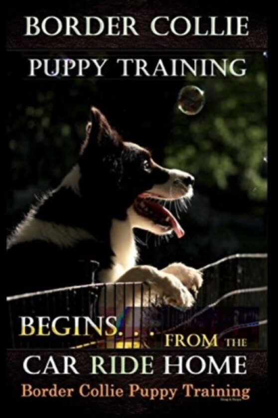 Border Collie Puppy Training Begins. . . From the Car Ride Home av Doug K Naiyn (Paperback)