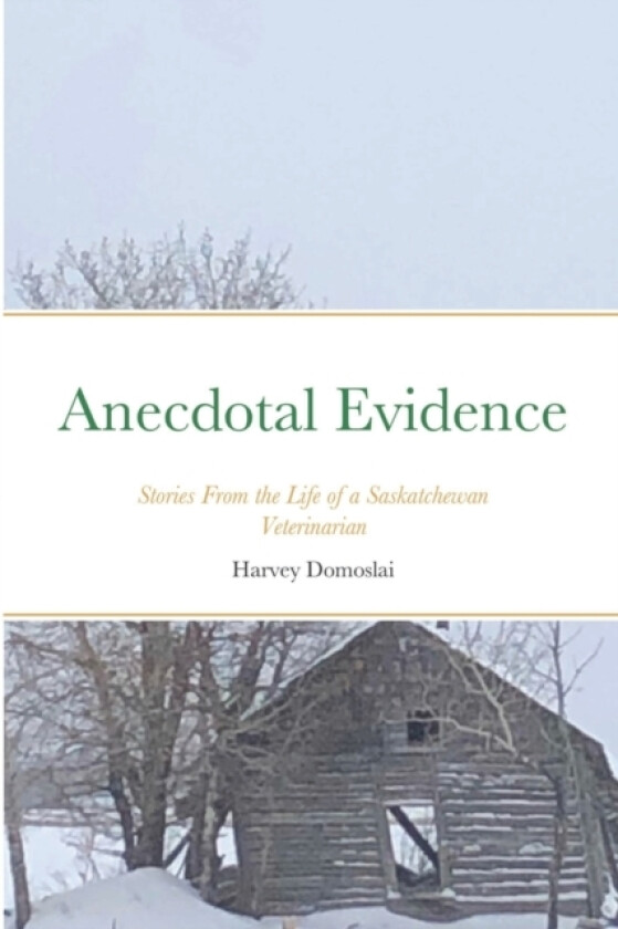 Anecdotal Evidence av Harvey Domoslai (Paperback)