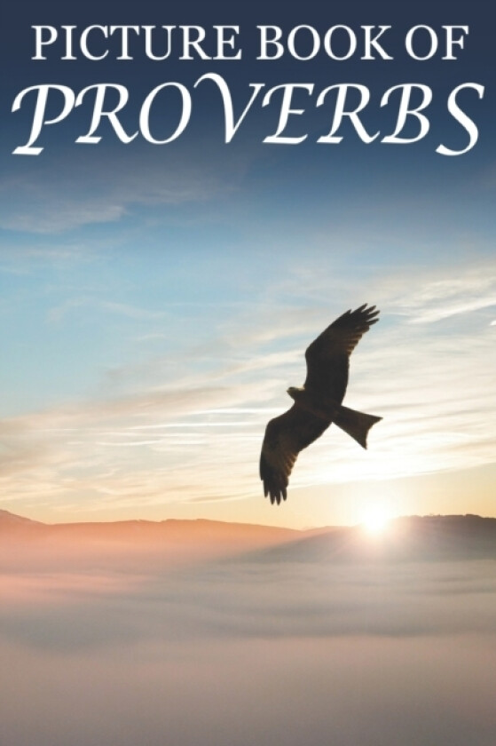 Picture Book of Proverbs av Mighty Oak Books (Paperback)