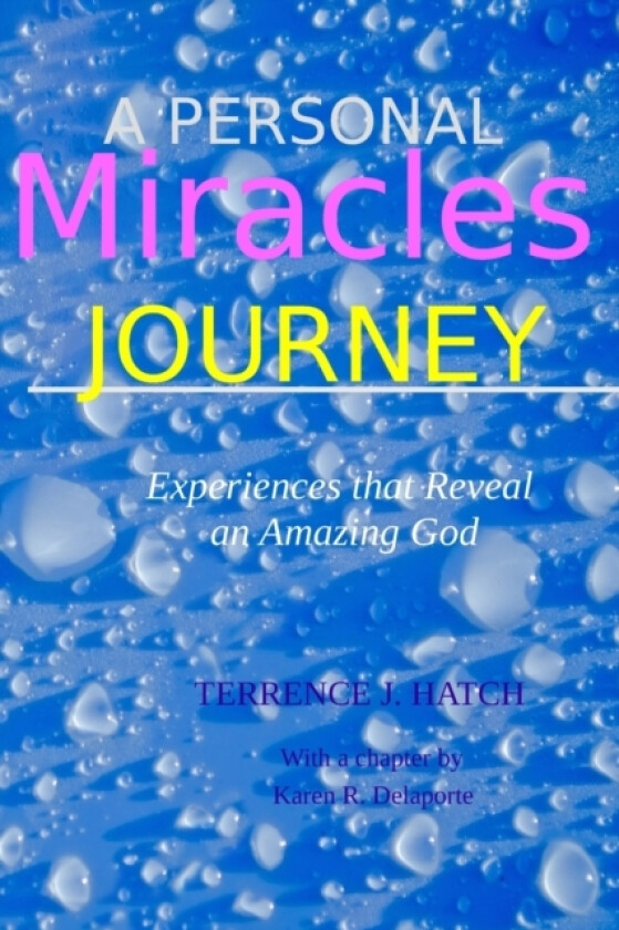 A Personal Miracles Journey av Karen R Delaporte, Terrence J Hatch (Paperback)
