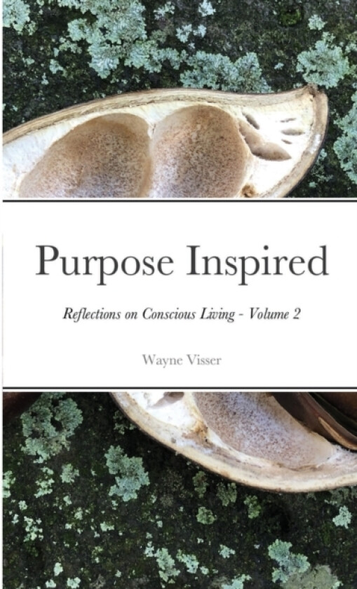 Purpose Inspired av Wayne Visser (Paperback)