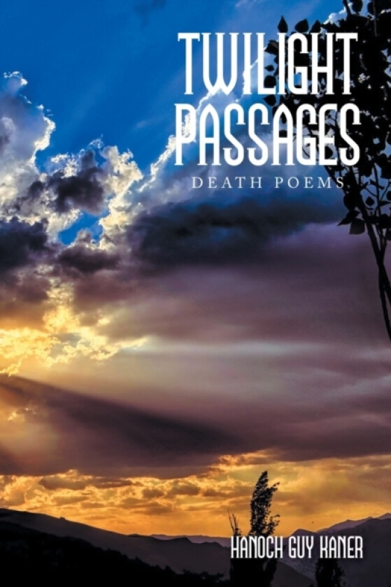 Twilight Passages av Hanoch Guy Kaner (Paperback)