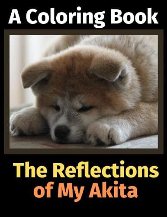 The Reflections of My Akita av Brightview Activity Books (Paperback)