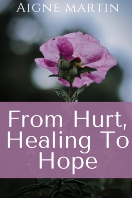 From Hurt, Healing to Hope av Aigne Martin (Paperback)