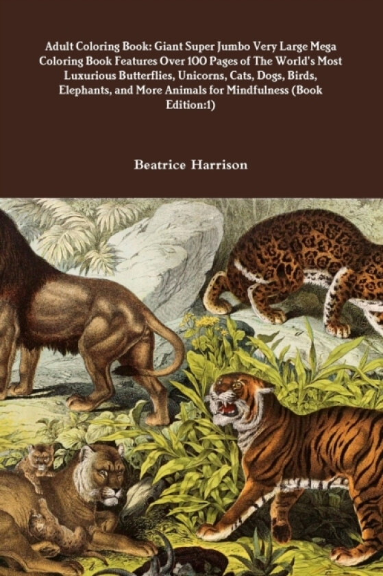 Adult Coloring Book av Beatrice Harrison (Paperback)