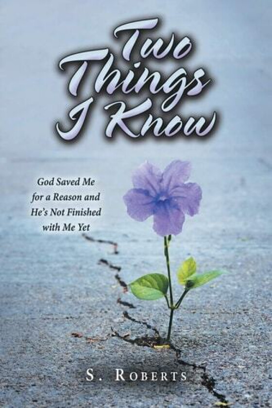 Two Things I Know av S Roberts (Paperback)