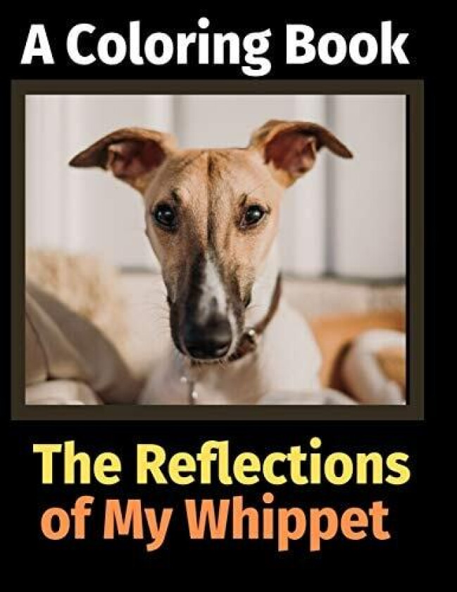 The Reflections of My Whippet av Brightview Activity Books (Paperback)