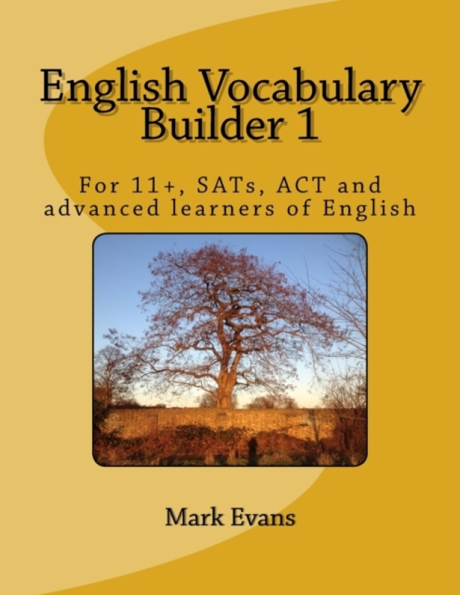 English Vocabulary Builder 1 av Mark Evans (Paperback)