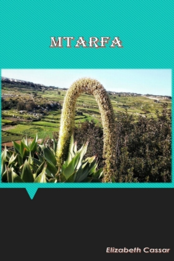 Mtarfa av Elizabeth Cassar (Paperback)