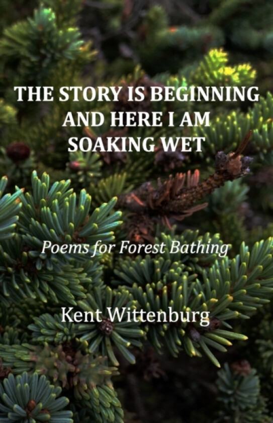 The Story is Beginning and Here I am Soaking Wet av Wittenburg Kent Wittenburg (Paperback)