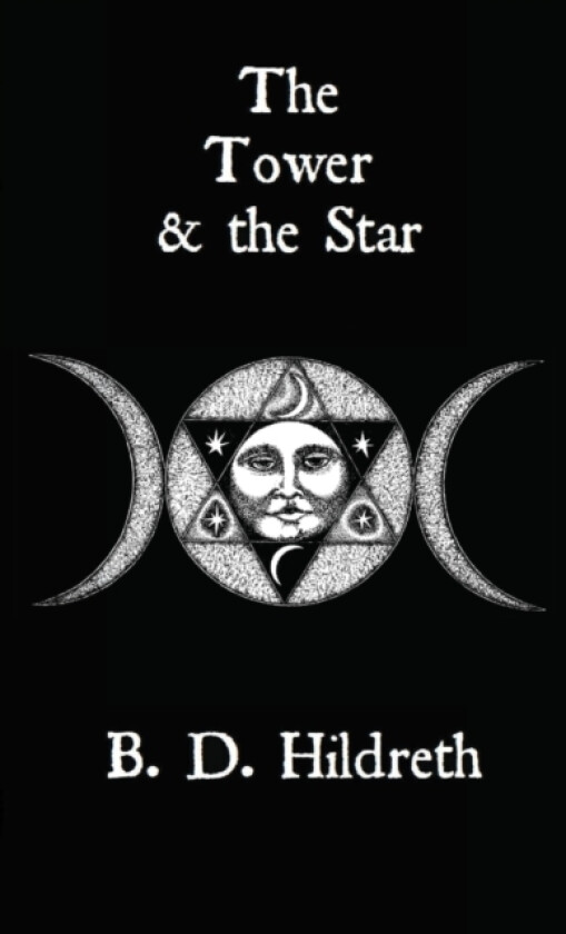 The Tower & the Star av Brandon Hildreth (Paperback)