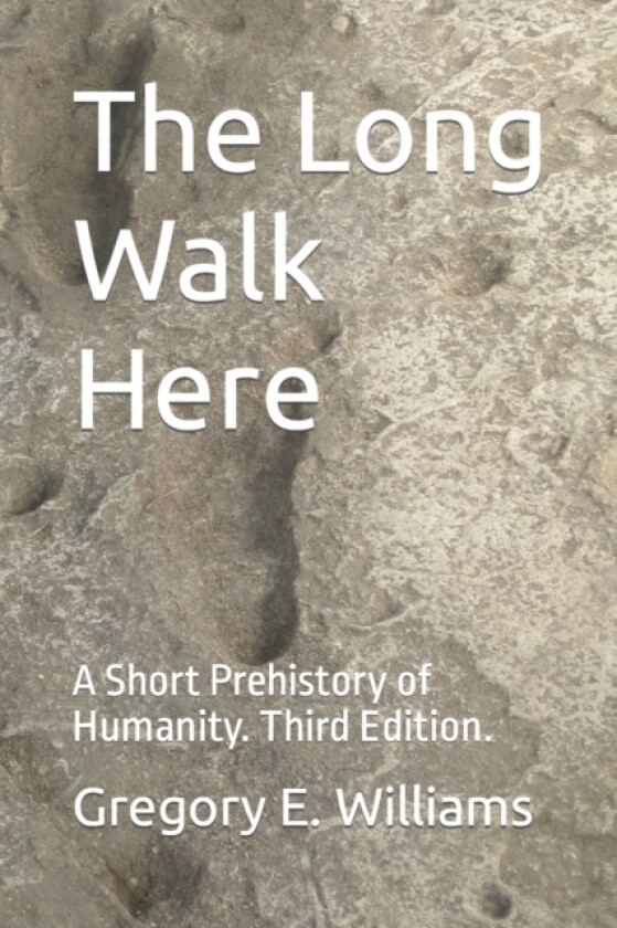 The Long Walk Here av Gregory E Williams (Paperback)