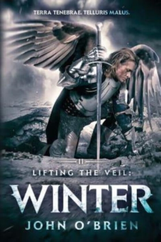 Lifting the Veil av John O'Brien (Paperback)
