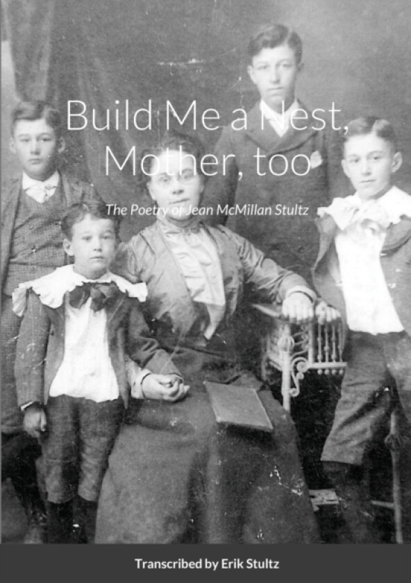Build Me a Nest, Mother, Too av Jean McMillan Stultz (Paperback)