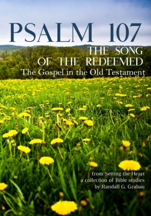 Psalm 107 av Randall G Grabau (Paperback)