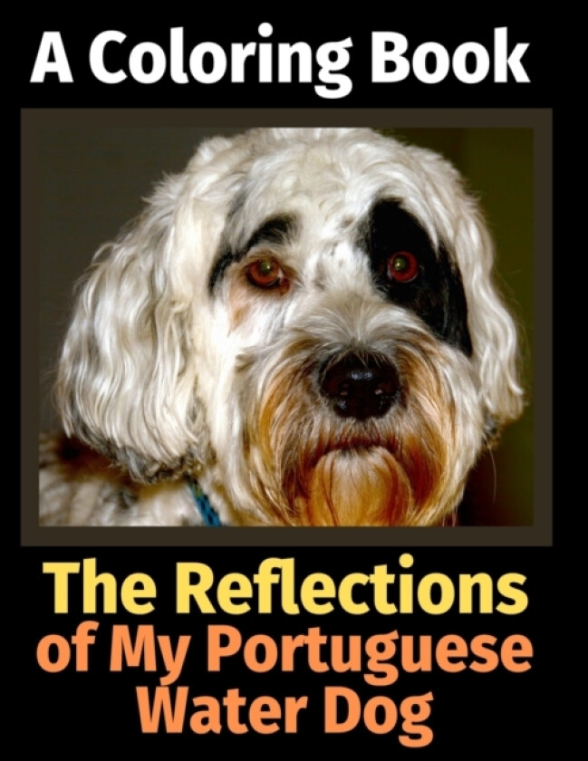 The Reflections of My Portuguese Water Dog av Brightview Activity Books (Paperback)