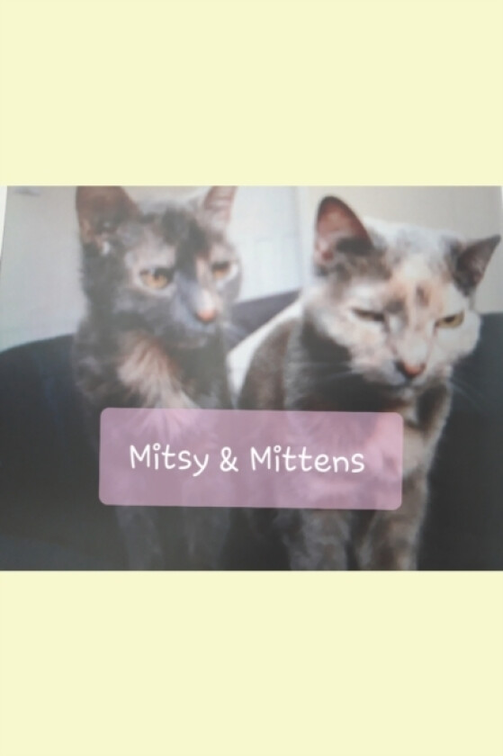 Mitsy and Mittens av Naomi J S (Paperback)