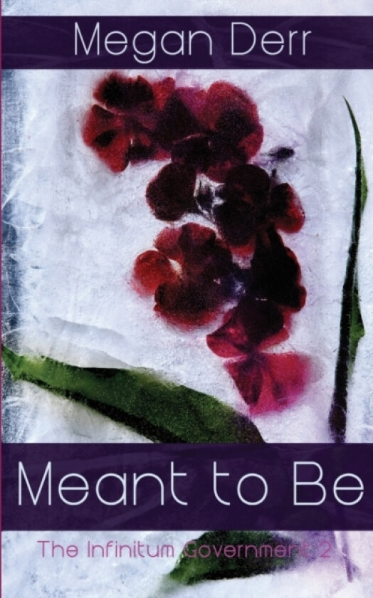 Meant to Be av Megan Derr (Paperback)