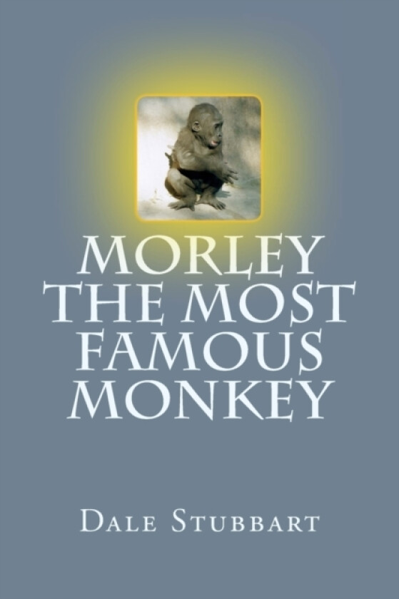 Morley The Most Famous Monkey av Dale Stubbart (Paperback)