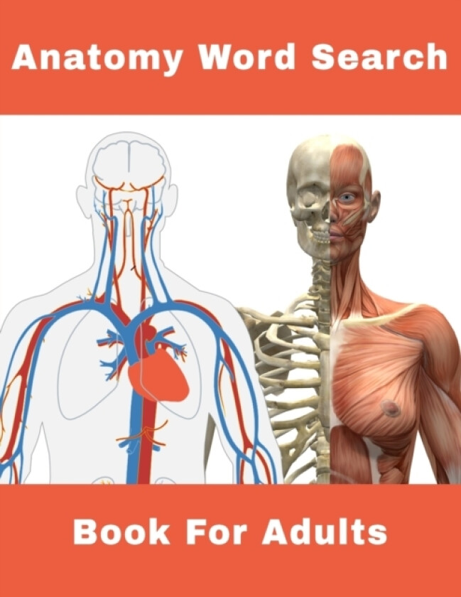 Anatomy Word Search Book For Adults av Nzactivity Publisher (Paperback)