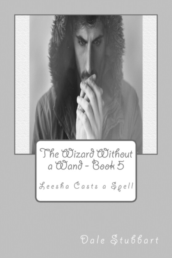 The Wizard Without a Wand - Book 5 av Dale Stubbart (Paperback)