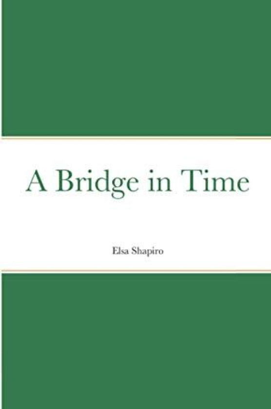 A Bridge in Time av Elsa Shapiro (Paperback)