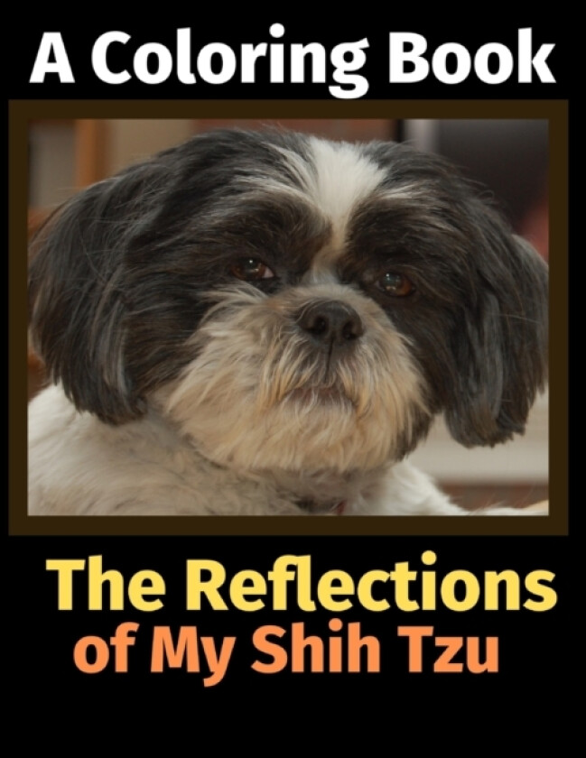 The Reflections of My Shih Tzu av Brightview Activity Books (Paperback)