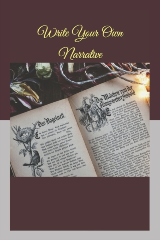 Write Your Own Narrative av Merilee Lovejoy (Paperback)