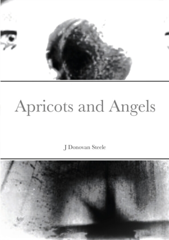 Apricots and Angels av J Donovan Steele (Paperback)
