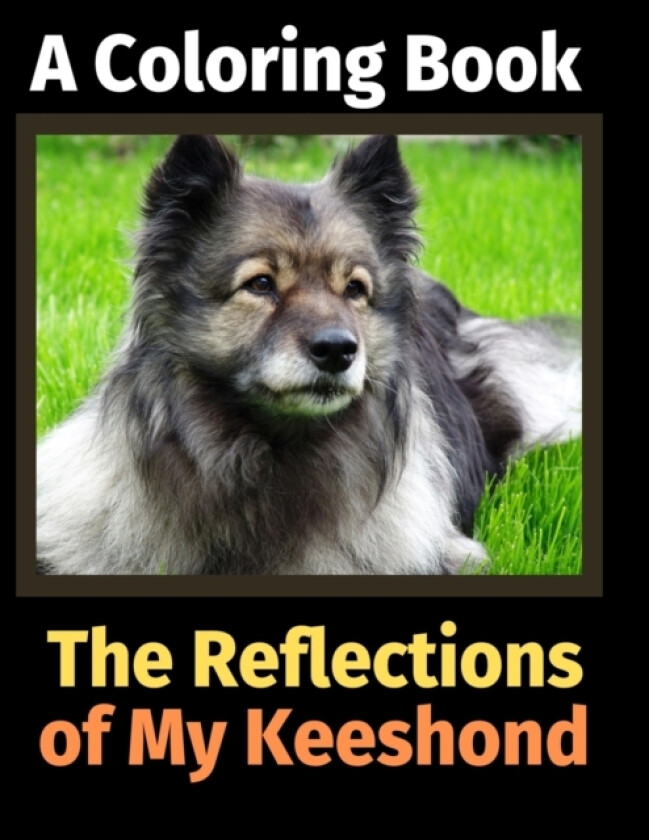 The Reflections of My Keeshond av Brightview Activity Books (Paperback)