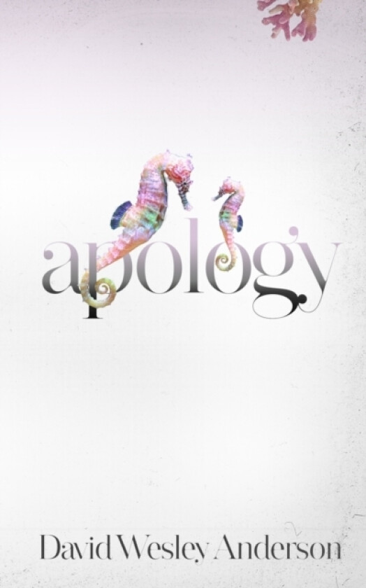 Apology av David Wesley Anderson (Paperback)