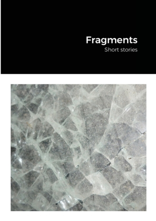 Fragments av Antony J Stowers (Paperback)