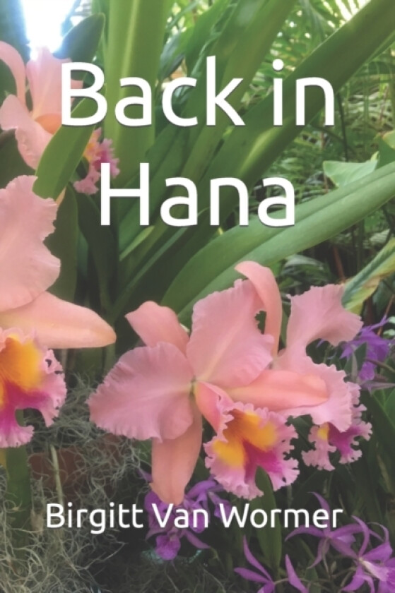 Back in Hana av Birgitt Van Wormer (Paperback)