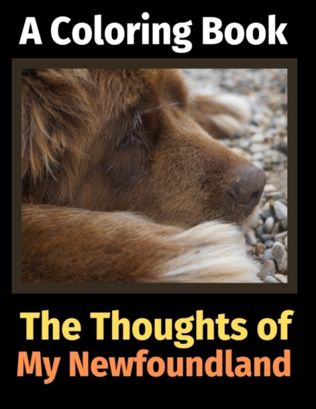 The Thoughts of My Newfoundland av Brightview Activity Books (Paperback)
